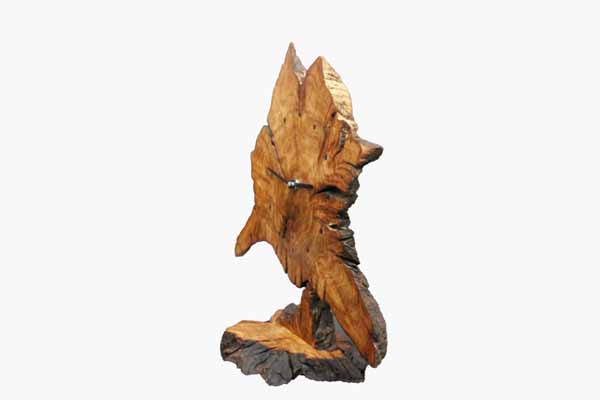 preview-image
